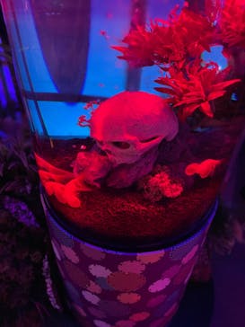 NARA IKIMONO MUSEUMに投稿された画像（2023/9/22）