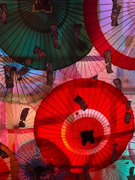 NARA IKIMONO MUSEUMに投稿された画像（2023/9/22）