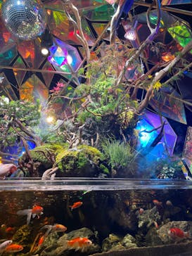 NARA IKIMONO MUSEUMに投稿された画像（2023/9/22）