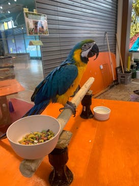 いきもの探検隊上尾に投稿された画像（2023/9/22）