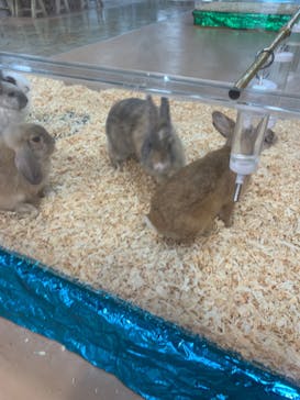 いきもの探検隊上尾に投稿された画像（2023/9/22）