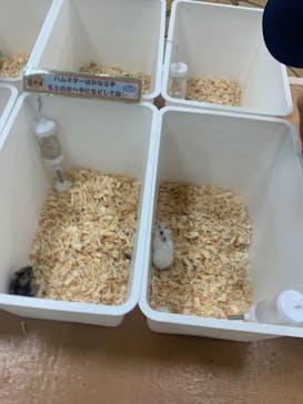 いきもの探検隊上尾に投稿された画像（2023/9/22）