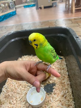 いきもの探検隊上尾に投稿された画像（2023/9/22）