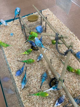 いきもの探検隊上尾に投稿された画像（2023/9/22）