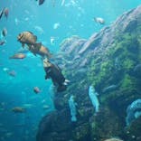 上越市立水族博物館 うみがたりに投稿された画像（2023/9/22）