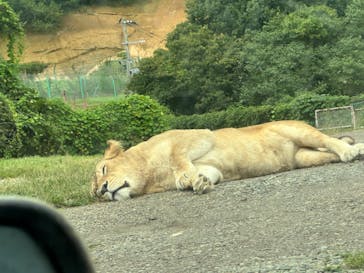 東北サファリパークに投稿された画像（2023/9/22）