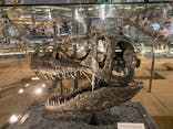福井県立恐竜博物館に投稿された画像（2023/9/22）