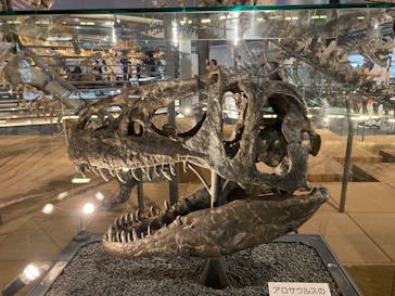 福井県立恐竜博物館に投稿された画像（2023/9/22）