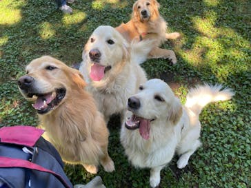 ノーザンホースパークに投稿された画像（2023/9/22）