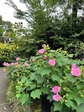 彫刻の森美術館に投稿された画像（2023/9/22）