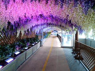 東京サマーランドに投稿された画像（2023/9/22）