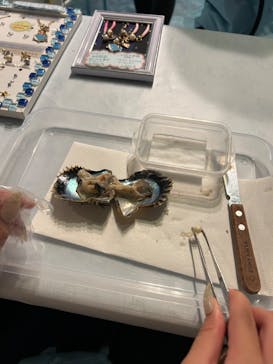 しながわ水族館に投稿された画像（2023/9/22）