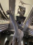 福井県立恐竜博物館に投稿された画像（2023/9/22）