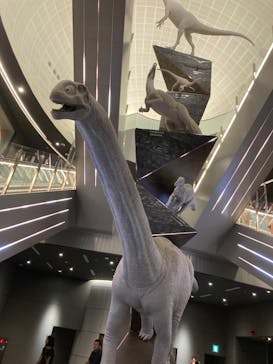 福井県立恐竜博物館に投稿された画像（2023/9/22）