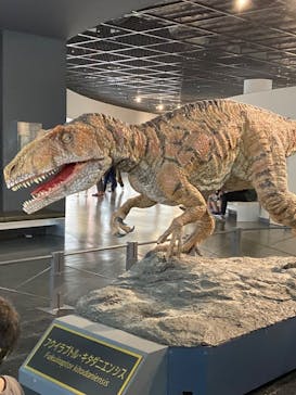 福井県立恐竜博物館に投稿された画像（2023/9/22）