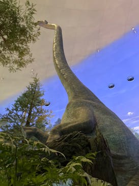 福井県立恐竜博物館に投稿された画像（2023/9/22）