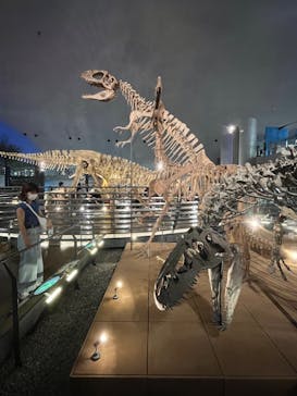 福井県立恐竜博物館に投稿された画像（2023/9/22）