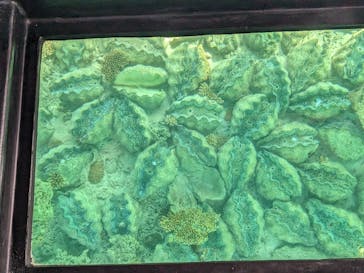 まりんはうすぐるくんに投稿された画像（2023/9/22）