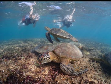 CHAMP TOUR　宮古島に投稿された画像（2023/9/22）