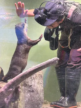 マクセル アクアパーク品川に投稿された画像（2023/9/22）