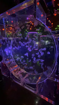 マクセル アクアパーク品川に投稿された画像（2023/9/22）