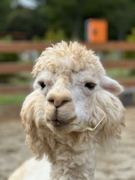 那須どうぶつ王国に投稿された画像（2023/9/22）