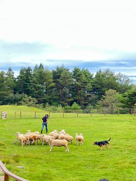那須どうぶつ王国に投稿された画像（2023/9/22）