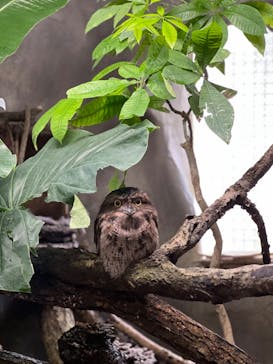 那須どうぶつ王国に投稿された画像（2023/9/22）