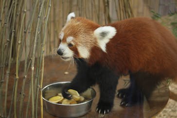 熱川バナナワニ園に投稿された画像（2023/9/22）