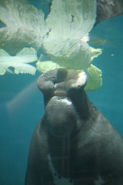 熱川バナナワニ園に投稿された画像（2023/9/22）