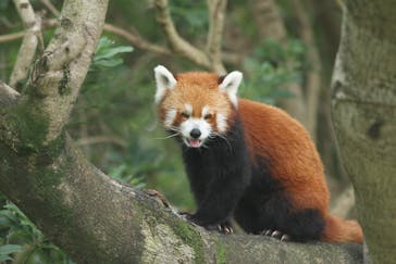 熱川バナナワニ園に投稿された画像（2023/9/22）