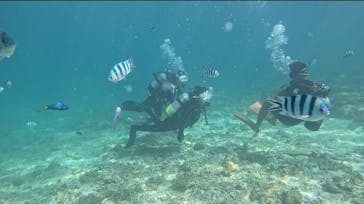 青の洞窟専門店　沖縄ダイビングショップ和に投稿された画像（2023/9/23）