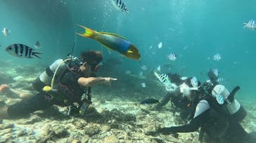 青の洞窟専門店　沖縄ダイビングショップ和に投稿された画像（2023/9/23）