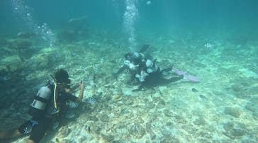 青の洞窟専門店　沖縄ダイビングショップ和に投稿された画像（2023/9/23）