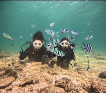 青の洞窟専門店　沖縄ダイビングショップ和に投稿された画像（2023/9/23）