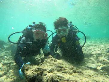 武藤潜水に投稿された画像（2023/9/23）