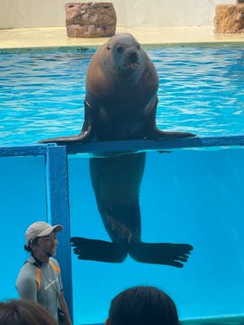 伊豆・三津シーパラダイスに投稿された画像（2023/9/23）