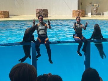 伊豆・三津シーパラダイスに投稿された画像（2023/9/23）