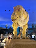 福井県立恐竜博物館に投稿された画像（2023/9/23）