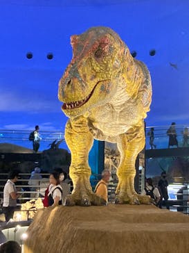 福井県立恐竜博物館に投稿された画像（2023/9/23）