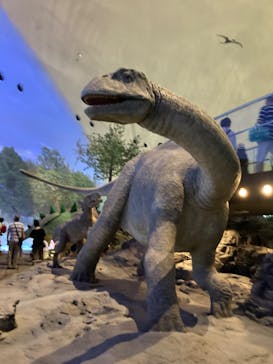 福井県立恐竜博物館に投稿された画像（2023/9/23）