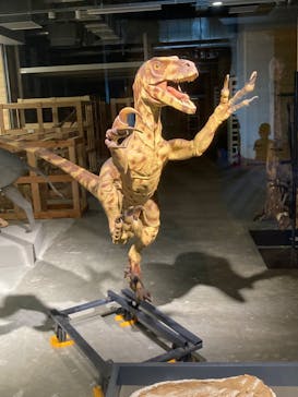 福井県立恐竜博物館に投稿された画像（2023/9/23）