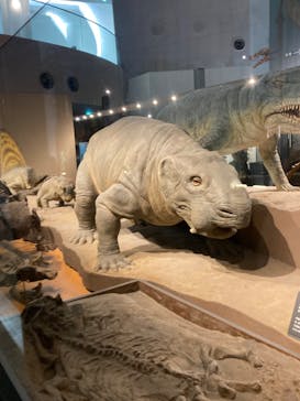 福井県立恐竜博物館に投稿された画像（2023/9/23）