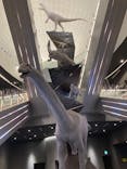 福井県立恐竜博物館に投稿された画像（2023/9/23）