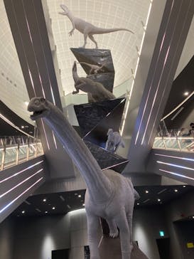 福井県立恐竜博物館に投稿された画像（2023/9/23）
