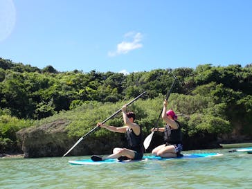 宮古島 ADVENTURE PiPi（ミヤコジマ アドベンチャー ピピ）に投稿された画像（2023/9/23）