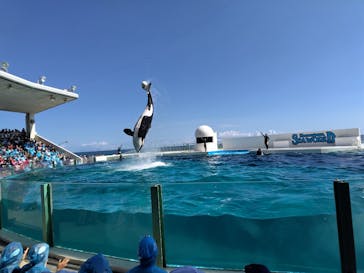 鴨川シーワールドに投稿された画像（2023/9/23）