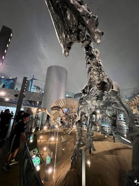 福井県立恐竜博物館に投稿された画像（2023/9/23）