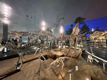 福井県立恐竜博物館に投稿された画像（2023/9/23）