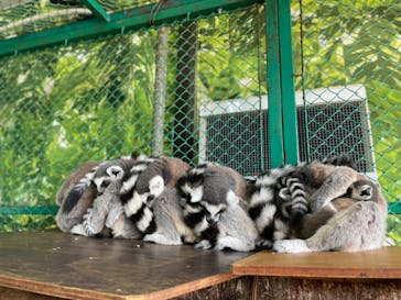 那須ワールドモンキーパークに投稿された画像（2023/7/3）